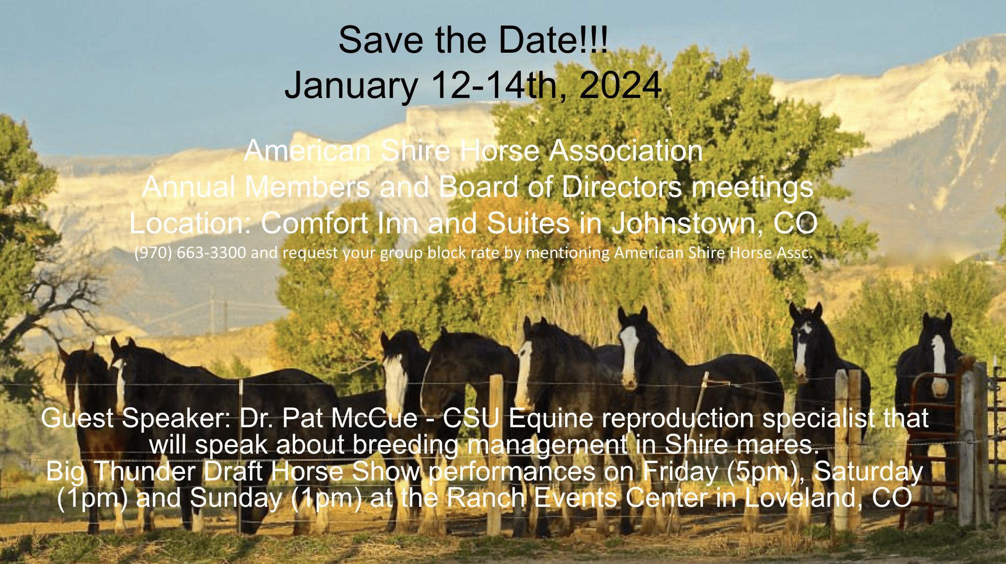 ASHA Annual Members & Board of Director Meetings American Shire Horse
